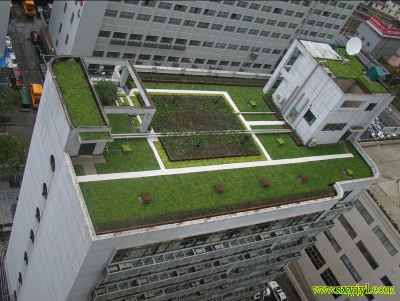 屋頂立體綠化改造 (1)