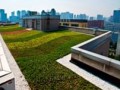 西安軟件園屋頂綠化理水系統 (2)